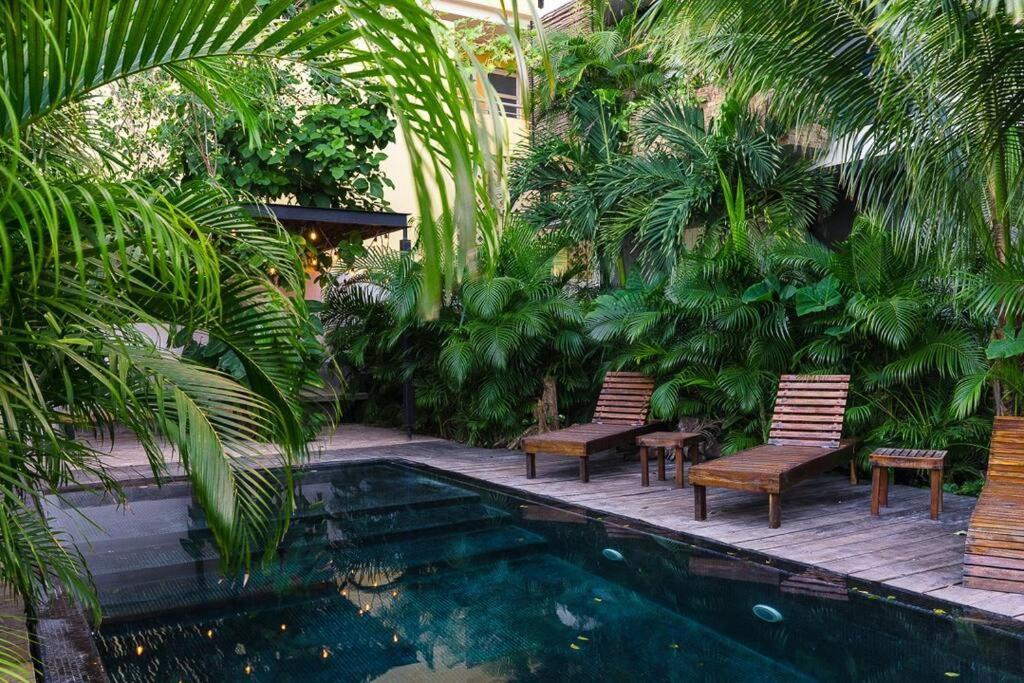And Relax In The Jungle Of 3001 Appartement Tulum