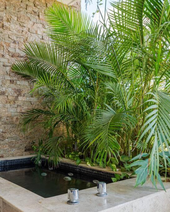Appartement And Relax In The Jungle Of 3001 Tulum